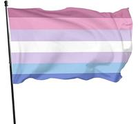 Bigender Bi Gender Pride Flag 3x5 Ft Flag Banner con stampa su un lato Banner di benvenuto per feste all'aperto