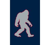 BIGFOOT - MASSACHUSETTS - BLUE AND SILVER | Premium Lined Journal | 6" × 9" | Soft Cover | 120+ Pages | State Flag Edition: A High-Quality State Notebook - Ideal for School, Work, or Everyday Notes