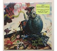 4 Non Blondes Bigger, Better, Faster, More (Vinyl LP) 12" Album