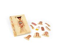Bigjigs Toys Puzzle con anatomia femminile, set da 26 pezzi di puzzle del corpo umano, puzzle in legno, giocattolo scientifico per imparare e giocare, puzzle educativi, risorse scolastiche, età 3 anni