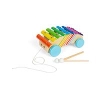 Bigjigs Toys Xilofono da tirare lungo - strumento arcobaleno in legno 2 in 1 per