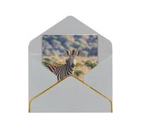 Biglietti di auguri 17,5 x 11,5 cm, biglietti vuoti con animali del Sud Africa, biglietti di auguri pieghevoli vuoti con buste biglietto di ringraziamento biglietto vuoto per tutte le occasioni