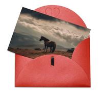 Biglietti di auguri con buste Biglietto di auguri vuoto Cavallo al pascolo sulla montagna Biglietto di ringraziamento Biglietti per feste Biglietto vuoto pieghevole per compleanno Biglietti di auguri