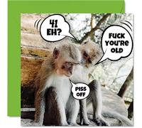 Biglietti di auguri divertenti il 41° compleanno uomini e donne Old Monkeys