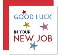 Biglietti di auguri per colleghi donne e uomini - Good Luck New Job - Sorry Your Leaving Good Luck in Your New Job Card, 145 mm x 145 mm, divertente regalo di congratulazioni