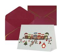 Biglietti di auguri per tutte le occasioni con simpatici gufi natalizi su ramo, bianco all'interno, con busta, adatti per amici e familiari