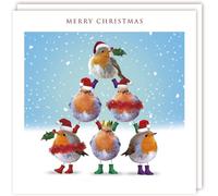 Biglietti Di Natale Medi Jolly Robin Con Finitura In Foil - Scatola Da 10