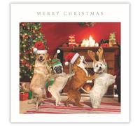 Biglietti di Natale per beneficenza Tracks Publising, confezione da 5, motivo: cani che ballano, finitura laminata, confezione multipla di biglietti di Natale festivi, a sostegno di Rainbow Trust