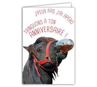 Biglietto Buon compleanno umoristico con busta illustrata formato 17,5 x 12 cm cavallo pony divertente divertente divertente che trinque beve un drink all'aperitivo salute! - Creazione Fabbricazione