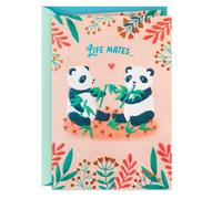 Biglietto d'auguri Hallmark per l'anniversario (anime gemelle, panda)