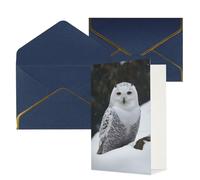 Biglietto di auguri con buste blu, Thinking of You Biglietto di auguri con gufo delle nevi, per compleanno, matrimonio, biglietti vuoti per tutte le occasioni, 10 x 15 cm