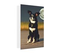 Biglietto di auguri con cane sotto la luna, 10,2 x 15,2 cm, busta a forma di cuore, adatto per tutte le occasioni.