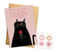 Biglietto di auguri con gatto rosso, interno bianco con busta e sigillo, divertente design con poesia con gatto con rosa per gli amanti dei gatti, regalo per amici, familiari e amanti degli animali