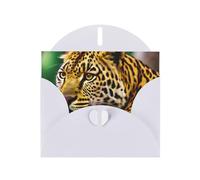 Biglietto di auguri con stampa leopardata gialla con busta, biglietto di compleanno, biglietto di Natale, biglietto d'invito, 3 colori