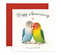 Biglietto di auguri di anniversario per coppie, simpatici uccellini innamorati, congratulazioni per loro, lui, lei, amici, colleghi, fratelli, sorelle, vicini, cugini, uomini, donne, fornito con