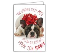 Biglietto di auguri di buon compleanno umoristico con busta illustrata, formato 17,5 x 12 cm, divertente e divertente, travestito da regalo con fiocco in nastro sulla testa, realizzato in francese