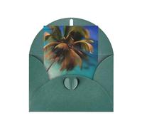 Biglietto di auguri Isole dei Caraibi, 10,2 x 15,2 cm, busta a forma di cuore, #Adatto per tutte le occasioni.