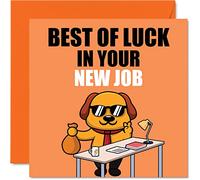Biglietto di auguri per colleghi donne e uomini con scritta "Best of Luck in your New Job" con scritta "Sorry Your Leaving Good Luck In Your New Job" 145mm divertente biglietto di auguri