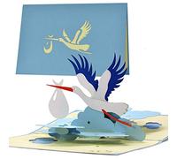 Biglietto di auguri per la nascita di un bambino, con motivo con cicogna, per genitori, con effetto pop-up, per accompagnare un regalo di nascita, G23.2