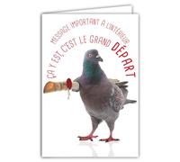 Biglietto di auguri per le nuove avventure, messaggio umoristico con busta illustrata, formato 17,5 x 12 cm, piccione divertente divertente divertente e rigolo, trasloco o pensionamento, creazione
