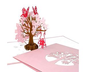 Biglietto di auguri per matrimonio 3D - Biglietto pop-up per matrimonio e compleanno con busta, invito, buono regalo, invito e confezione regalo come regalo di nozze e per fidanzamento.