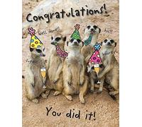 Biglietto di auguri per occasioni umoristiche - 20,3 x 15,2 cm - Piccadilly Greetings