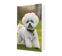Biglietto di auguri per tutte le occasioni con stampa di cane Bichon Frise, per compleanno, simpatia, Natale, ringraziamento, buste