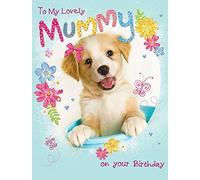 Biglietto di auguri tradizionale per la mamma, 20,3 x 15,2 cm, Piccadilly Greetings