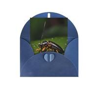 Biglietto di auguri vuoto con insetti sulle foglie, 10,2 x 15,2 cm, adatto per tutte le occasioni.