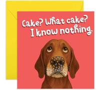 Biglietto di compleanno divertente con scritta in lingua inglese "What Cake? I Know Nothing" (lingua italiana non garantita), simpatico biglietto di auguri per il compleanno di un cucciolo, regalo