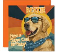 Biglietto di compleanno divertente per Bestie, allegro Golden Retriever con occhiali da sole, vivace design arancione e blu, porta sorrisi istantanei, 145 mm, quadrato, busta inclusa