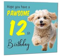 Biglietto di compleanno per il 12° compleanno per uomini e donne cane Pawsome biglietto di compleanno per 12 anni ragazza nipote figlia bambini dodici, dodicesima sorella cugina nipote