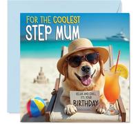 Biglietto di compleanno per la mamma - Chill Beach Dog - Biglietto di auguri di compleanno per matrigna da figlio figlia, 145 mm Chill Beach Dog Bday biglietti di auguri