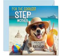 Biglietto di compleanno per matrigna - Chill Beach Dog - Biglietto di auguri di compleanno per matrigna da figlio figlia, 145 mm Chill Beach Dog Bday biglietti di auguri