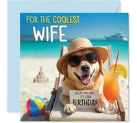 Biglietto di compleanno per moglie - Chill Beach Dog - Biglietto di auguri di compleanno per moglie da marito partner, 145 mm Chill Beach Dog Bday biglietti di auguri