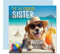 Biglietto di compleanno per sorella - Chill Beach Dog - Biglietto di auguri di compleanno per sorella da fratello e fratello, 145 mm Chill Beach Dog Bday biglietti di auguri