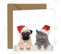Biglietto di Natale - Amici degli animali festivi | Biglietto pieghevole (15 x 15 cm) - con busta - Interno vuoto