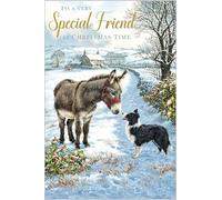 Biglietto di Natale "Special Friend" con asino e cane