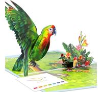 Biglietto pop-up 3D di simpatia per donne e uomini, motivo fiori e pappagallo, con busta e biglietti vuoti separati per pensare a te, incoraggiamento, condoglianze