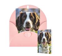 Biglietto vuoto 10 x 15 cm, biglietto di buon compleanno con buste, carino springer spaniel biglietti di auguri per tutte le occasioni Thinking of You biglietti per matrimonio invito aziendale