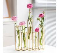 Bigsee Vaso per provette per fiori, vaso in vetro con supporto in metallo, set di 5 vasi idroponici per provette, set di 5 vasi per piante con cerniera dorata, centrotavola per decorazione domestica