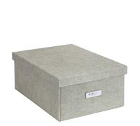 BIGSO BOX OF SWEDEN KATIA - Contenitore di medie dimensioni con coperchio, robusto organizer in fibra e carta effetto lino, pratica scatola pieghevole con cornice per etichette, colore beige
