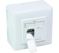 BIGtec - Presa di rete CAT6a LAN, presa universale da incasso, canalina per cavi di installazione, cavo di rete, cavo CAT 7, CAT 6, CAT 5, CAT 6a, 2 x RJ45, bianco segnale RAL 9003, da incasso