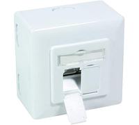 BIGtec, Presa di Rete combinata Cat.6, Superficie/Montaggio di Rete Dati, Scatola RAL 9003, Segnale Bianco per Cavo di Rete Cat.5 Cat.5e Cat.6 Cat.6a Cat.7 Cat.7a