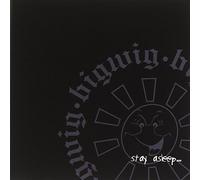 BIGWIG - STAY ASLEEP