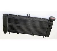 BIHR RICAMBIO RADIATORE H2O ACQUA HONDA CB 600 F HORNET 2002-2006