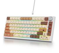 BIIOONES Tastiera PC con Filo per Computer/Laptop/Notebook -855