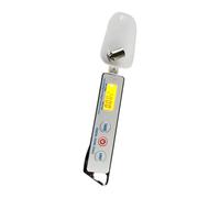 Bilancia a cucchiaio leggera in acciaio inossidabile con display a LED e capacità 100 g Precisione 0, 01 g per cucina e uso artigianale Bilancia a cucchiaio da cucina digitale