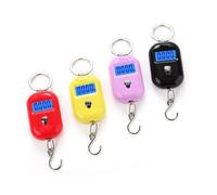 Bilancia a gru, Graziosa mini bilancia digitale for la pesca, i bagagli, i viaggi, il portachiavi elettronico da appendere(Noir)