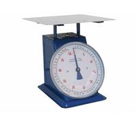 Bilancia a sfera portata 30kg - piatto piano inox - divisione 100gr